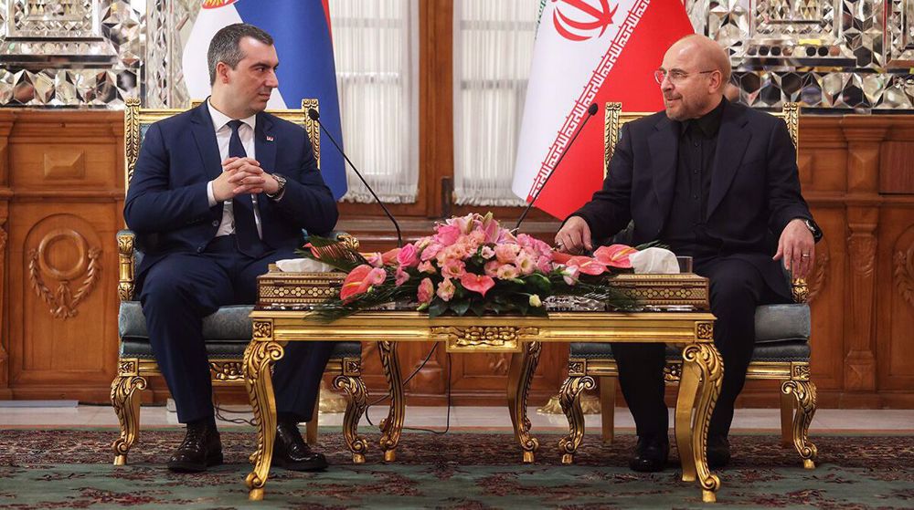 Iran, Serbia share common positions at international level: Parl. speaker