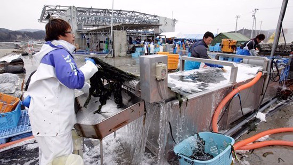 Fukushima fish found with 180 times legal limit of radioactive cesium 