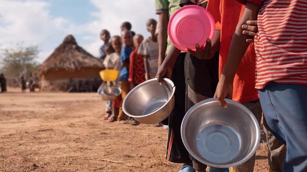 Over 19 million Sudanese face food insecurity due to armed conflict: WFP 