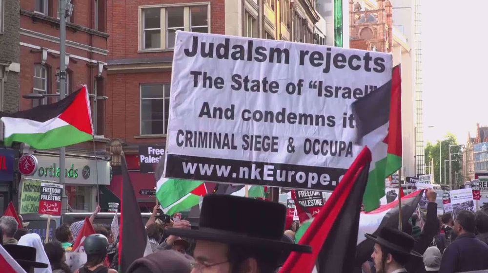 London: Pro-Palestine activists rally to defend Jenin