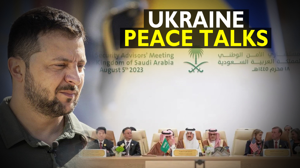 Ukraine peace talks