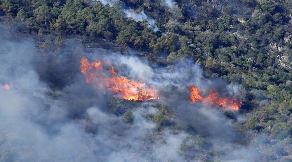 New wildfire in western Spain burns 300 hectares