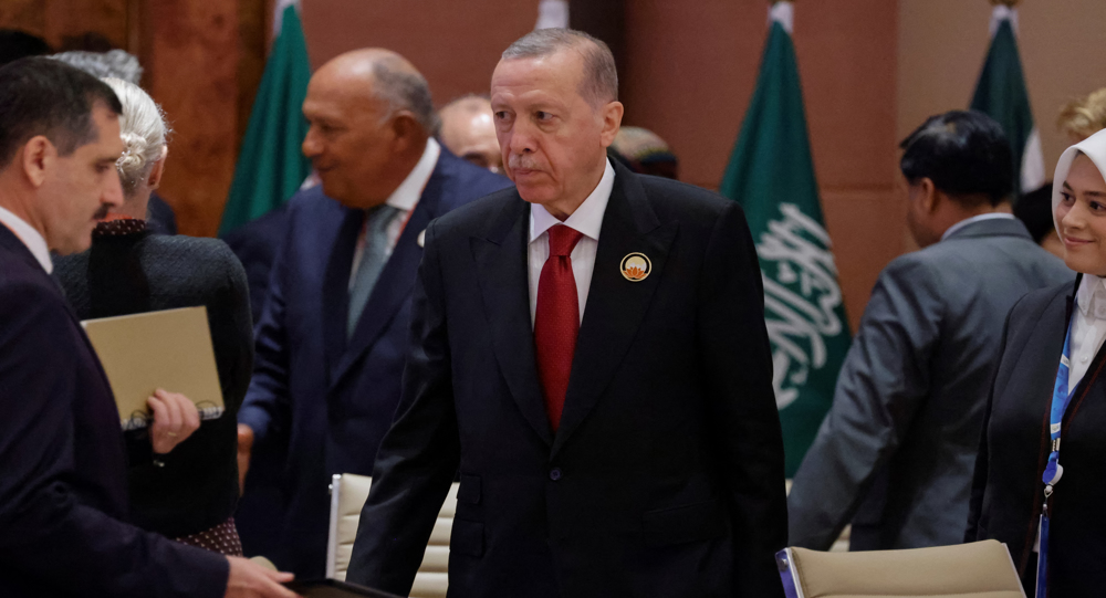 Turkey could 'part ways' with EU if necessary: Erdogan
