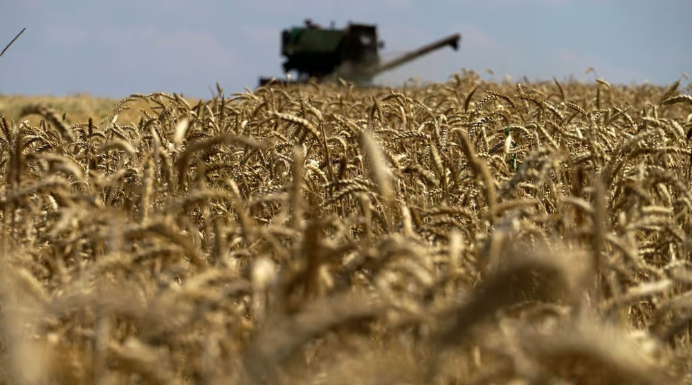 Ukraine to challenge EU neighbors over grain import bans
