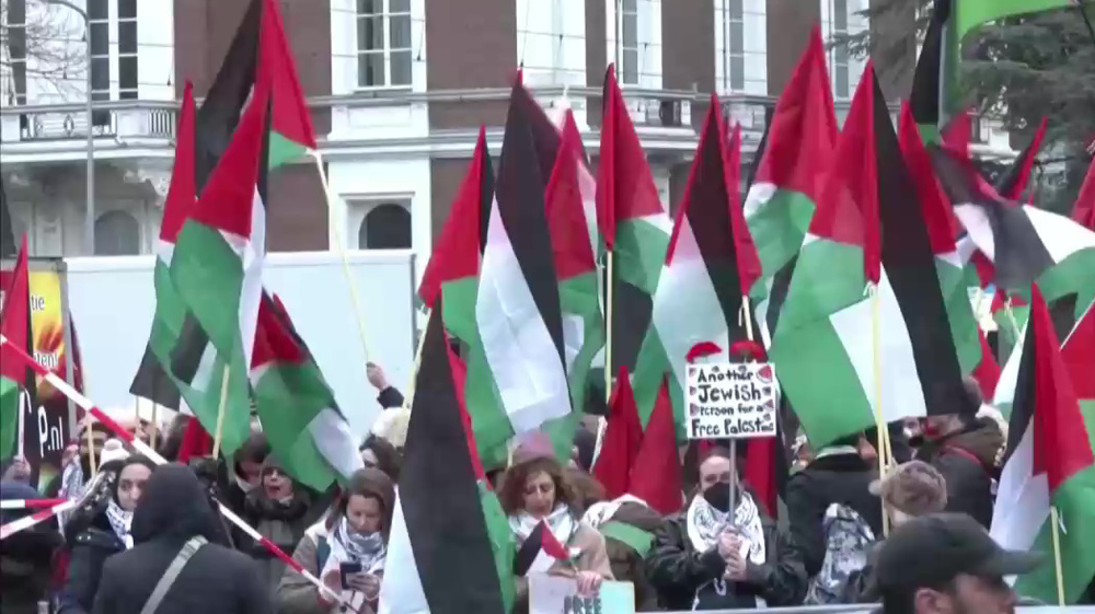 Pro-Palestinian protesters call for Israeli 'accountability' outside World Court