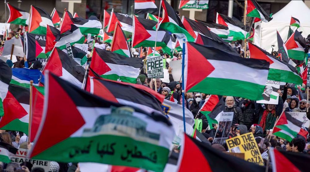 "Stop au génocide palestinien": manifestations dans plusieurs capitales 