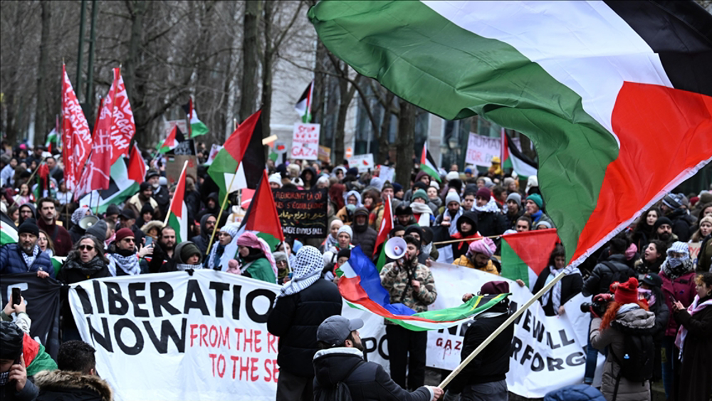 Thousands of pro-Palestinian protesters in Brussels call for ceasefire in Gaza
