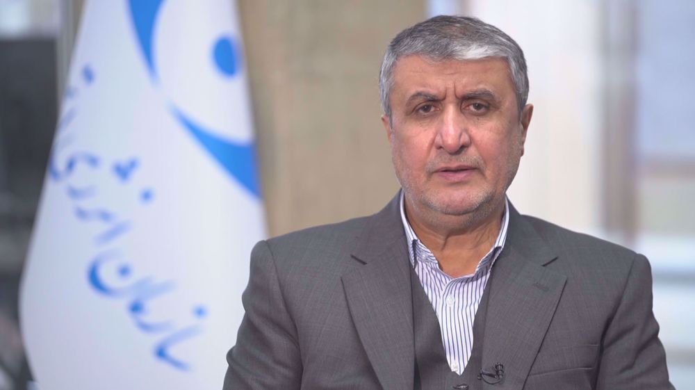 Interview with head of Atomic Energy Organization of Iran