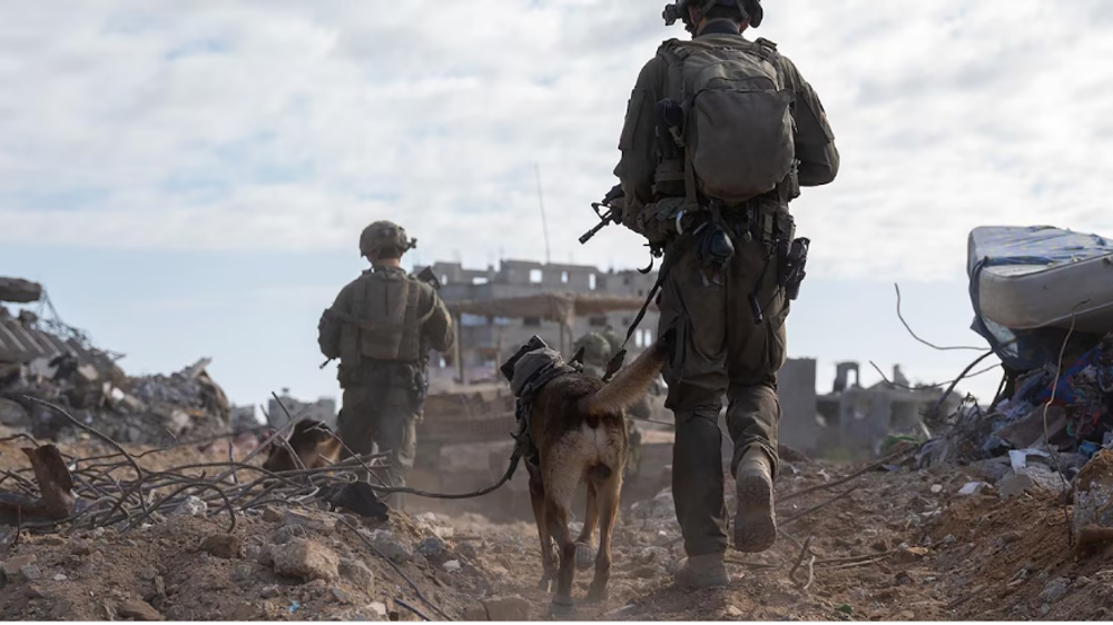 Arrêt des livraisons d'armes à Israël: rétropédalage de l’Elysée après l'ire du boucher Netanyahu