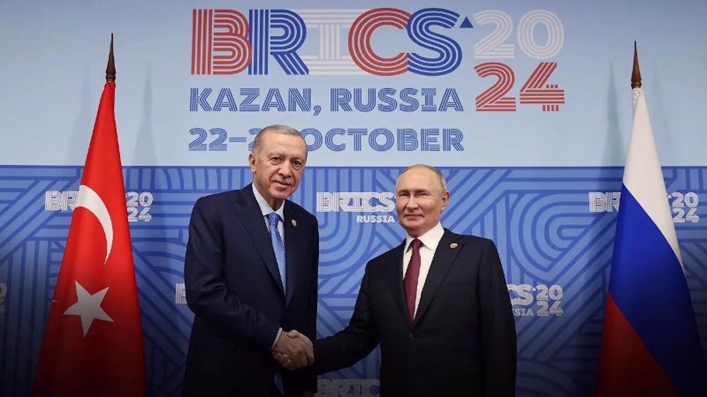 BRICS offers Turkey partner status, says Turkish minister