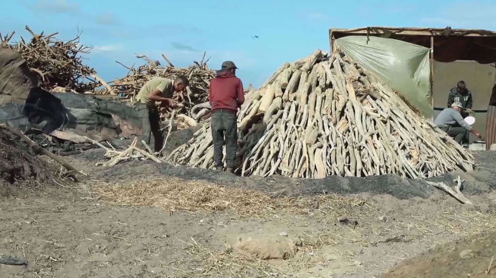 Gazans produce charcoal to get warm