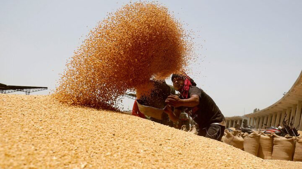 Iran pays off $3bn debt to domestic wheat farmers