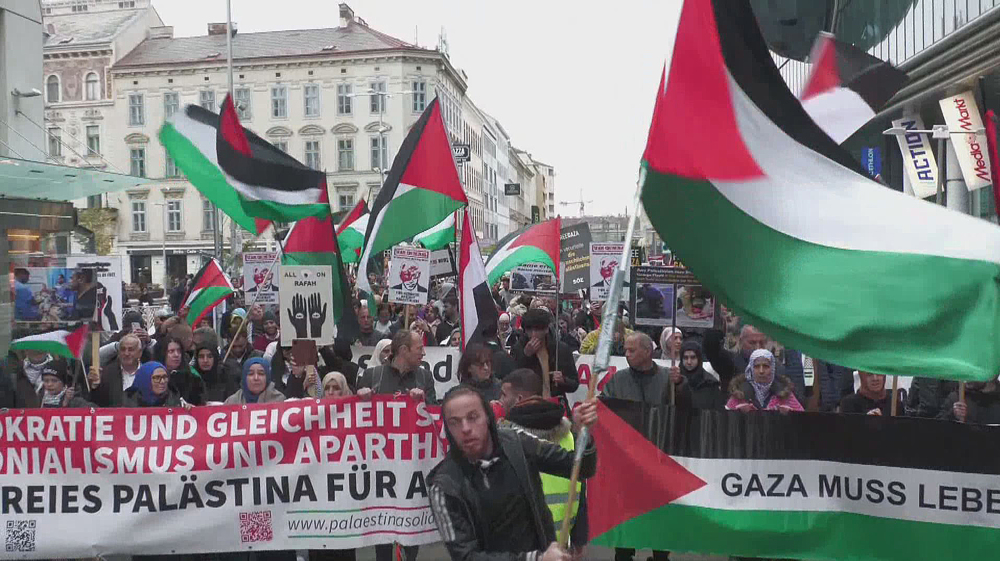 Austrians march in solidarity with Gaza