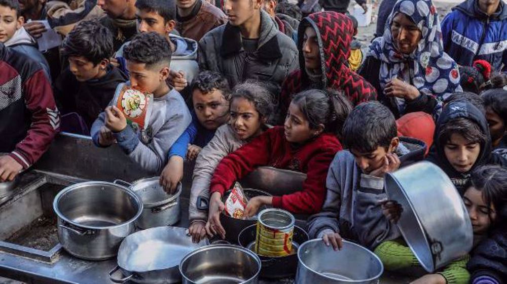 Two million in Gaza face ‘acute’ hunger, warns WFP