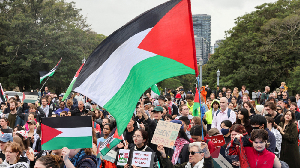 Australians rally for Gaza ahead of Christmas festivities