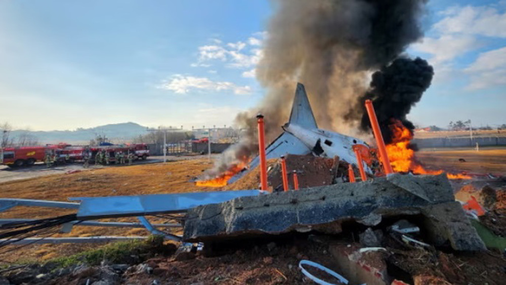 Dozens killed as plane crashes in South Korea