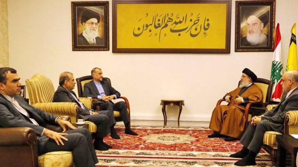 Hezbollah head meets Iran’s FM, says Resistance will emerge victorious 