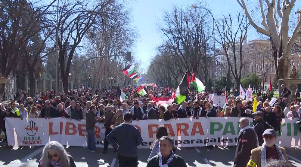 Thousands of pro-Palestinian protesters march in Madrid