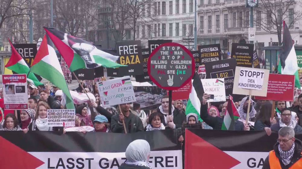 Austria charges pro-Palestine activists for 'Free Palestine' slogan