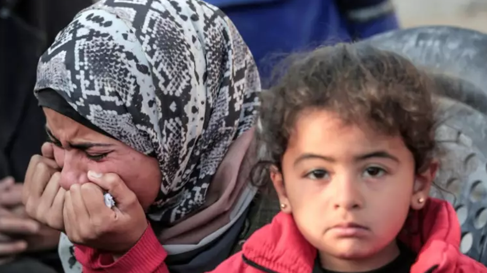 Meurtrière distribution de nourriture à Gaza : "Où sont les Arabes et les musulmans ?" 