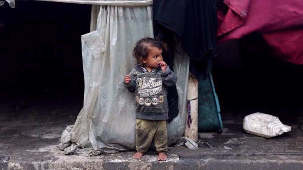 Gaza children go to sleep hungry, they are being ‘wasted’: WFP