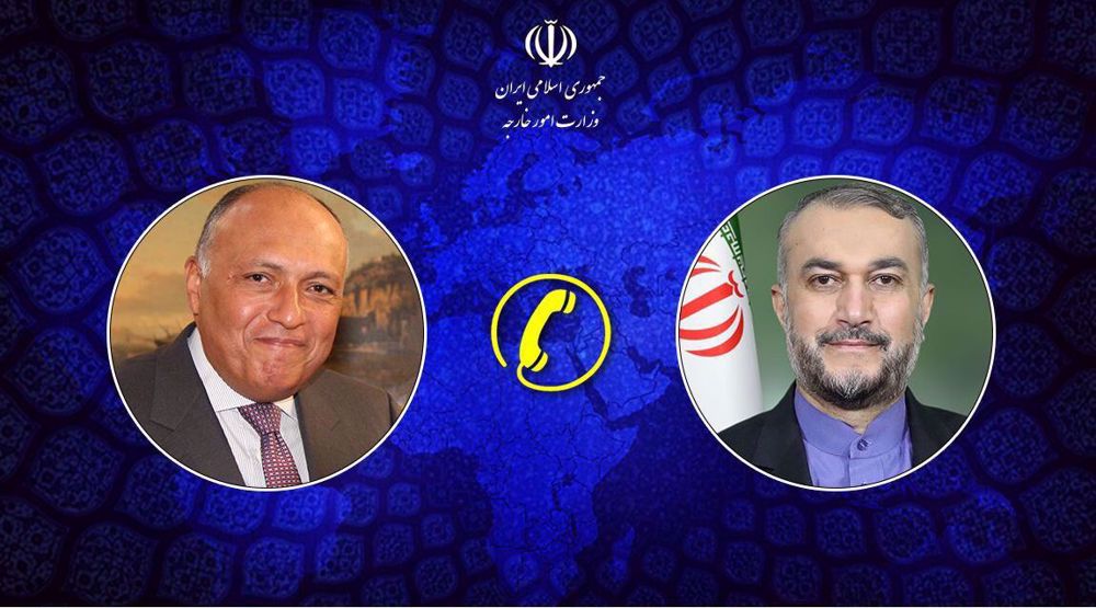 Iranian, Egyptian FMs discuss ties, Gaza over phone
