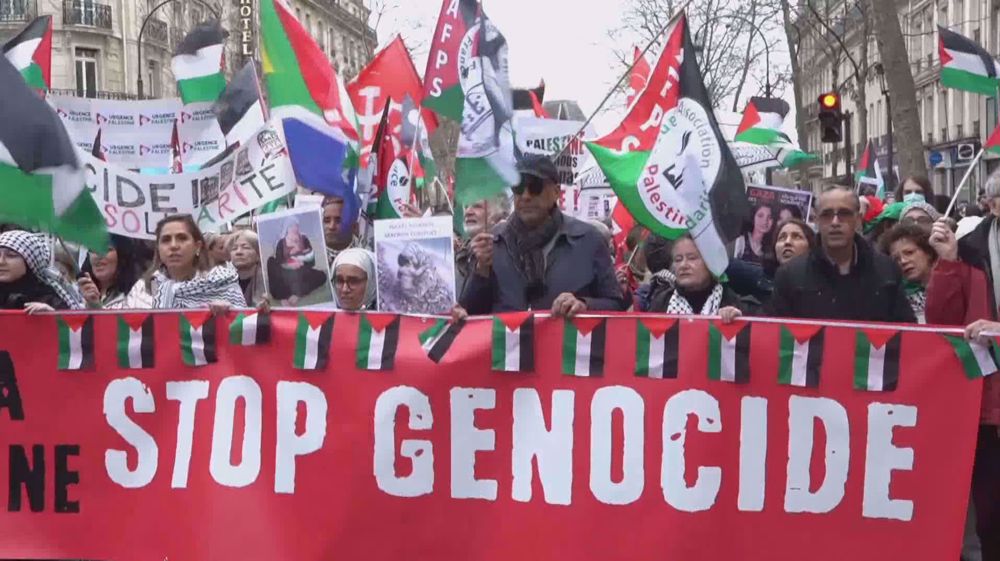 Huge pro-Palestinian march held in Paris