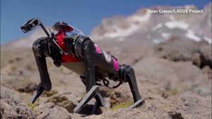 Scientists train robot to walk on moon