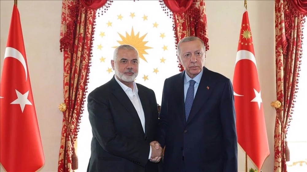 Hamas chief meets Erdogan as Turkey tries to mediate in Gaza war