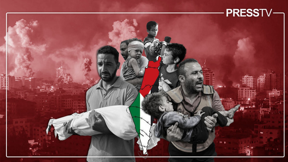 In Numbers: 200 days of Israeli genocidal war against Palestinians in Gaza