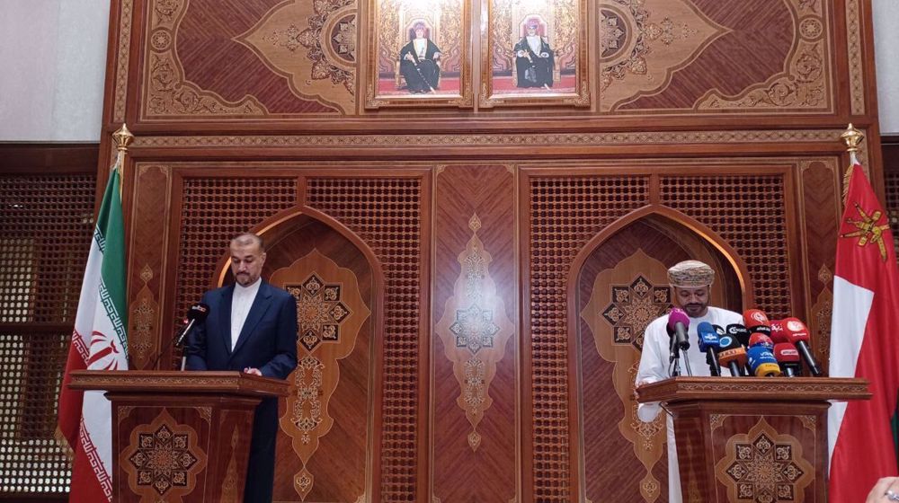 Iran island of stability in West Asia region: FM