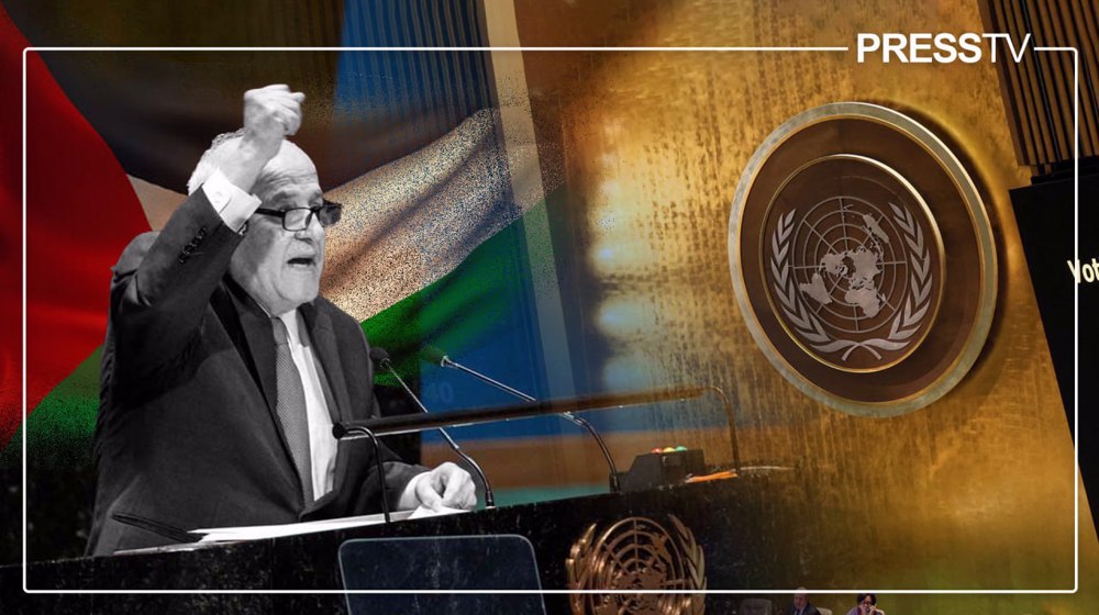 Explainer: What is significance of UNGA vote on Palestine’s full membership?