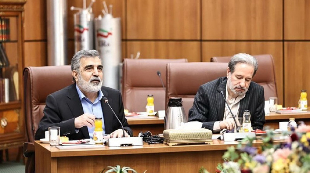 Iran says ready to share nuclear expertise with all countries