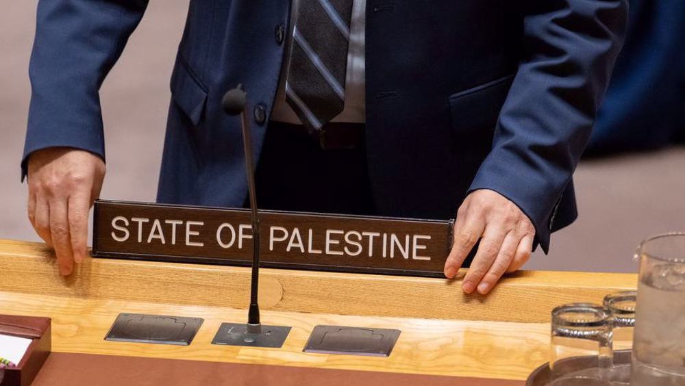 Reconnaissance de l’État palestinien : l’UE exhorte à adopter une position commune