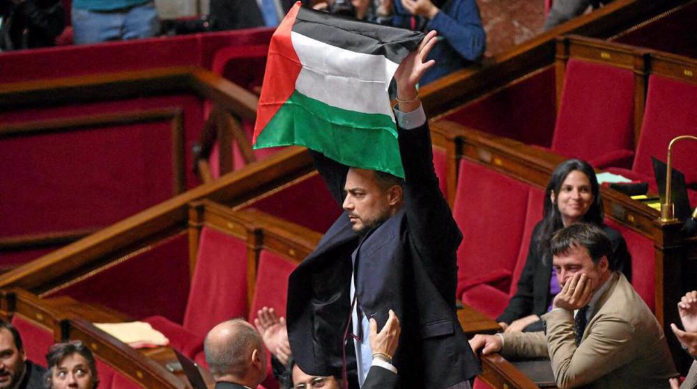Un député français suspendu pour avoir brandi le drapeau palestinien