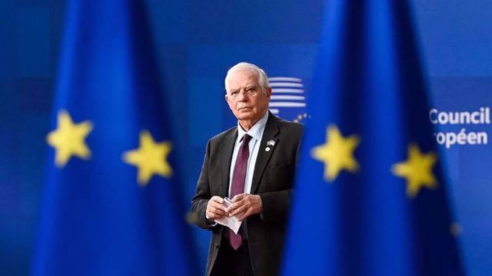 On the bandwagon: EU’s Borrell joins NATO chief to back Ukraine right to strike Russia