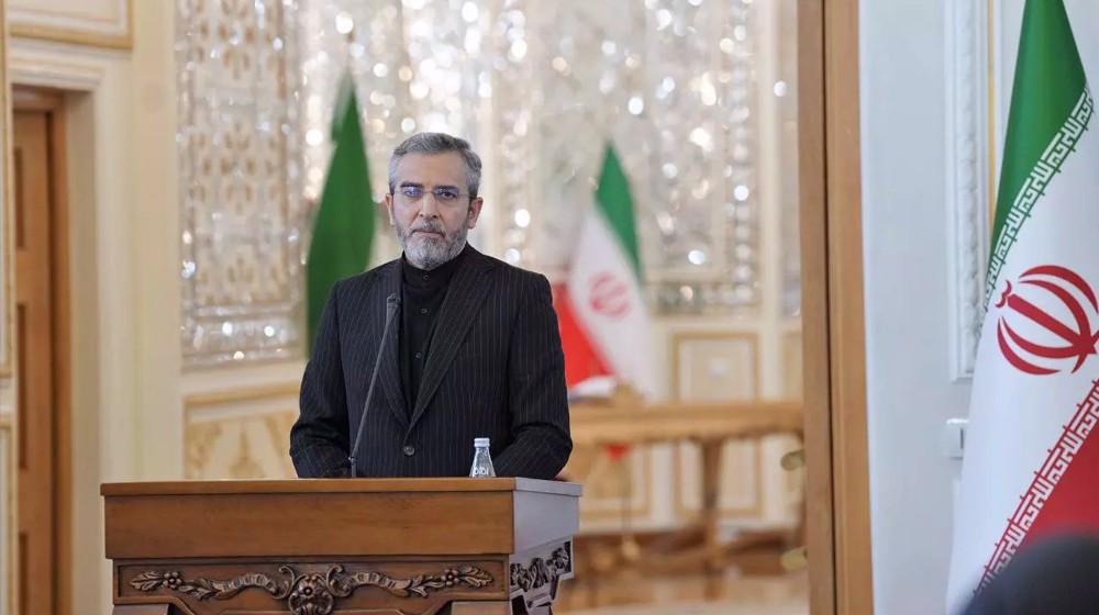 Iran's nuclear activities continue; sanctions removal talks underway: Acting FM
