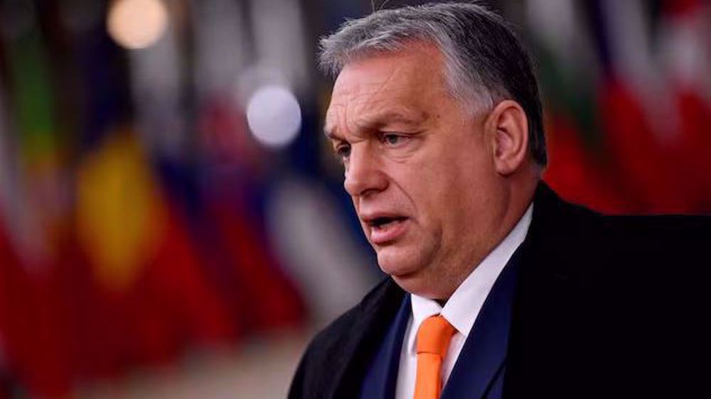 Hungary warns of ‘world war’ as NATO pushes Ukraine to strike Russia 