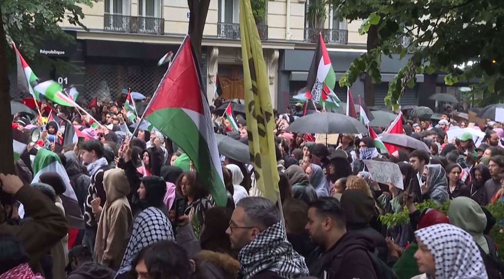 Thousands of pro-Palestinian protesters march in Paris