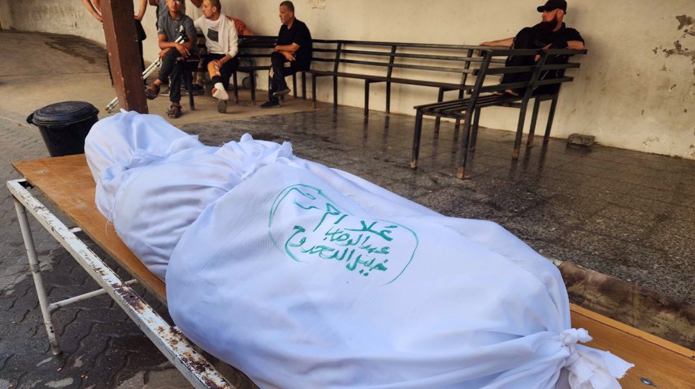 Another Palestinian journalist killed in Israeli offensive on Gaza