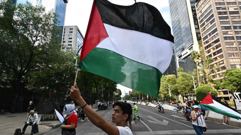 Des experts de l'ONU appellent tous les pays à reconnaître l'État palestinien