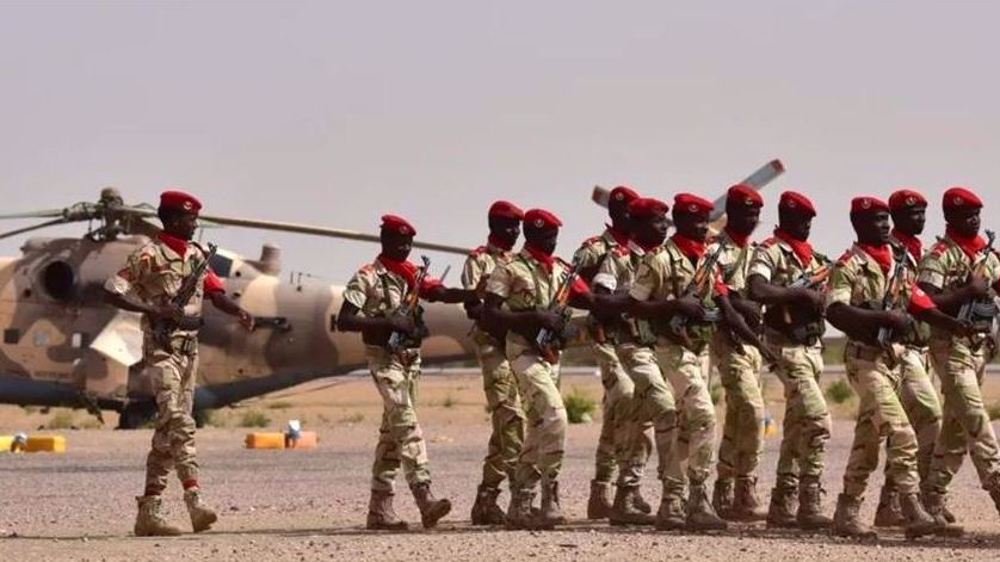 Niger: une trentaine de terroristes "neutralisés" par l'armée