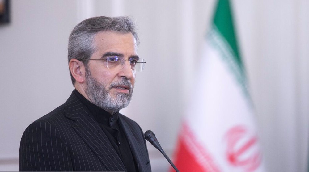 IAEA’s non-constructive approach will harm its identity: Iran’s interim FM