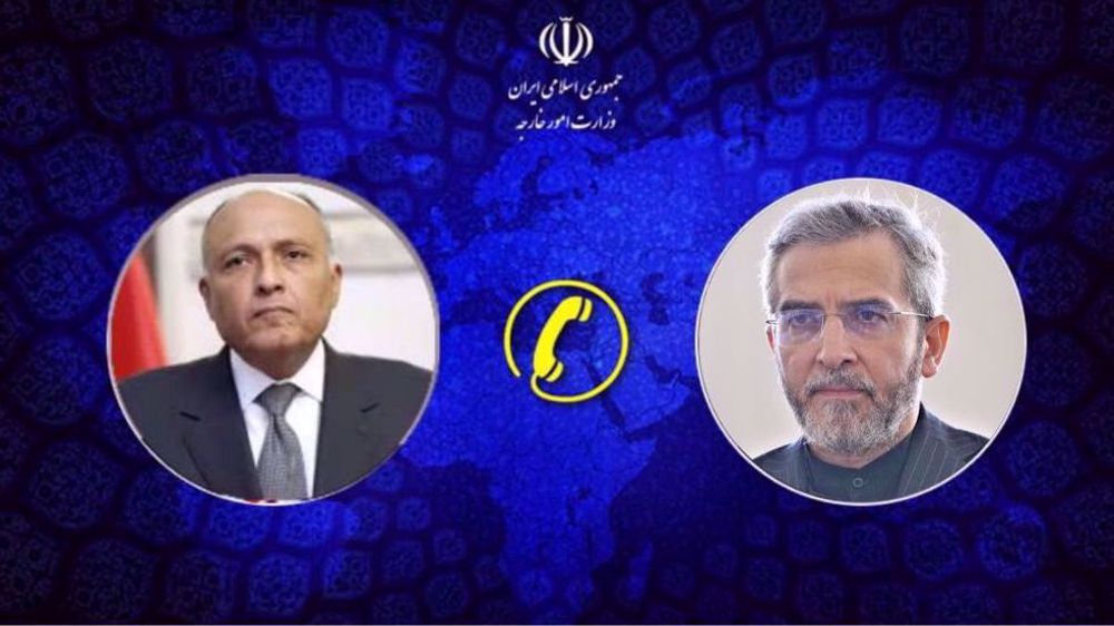 Iran : les pays musulmans doivent arrêter le génocide à Gaza