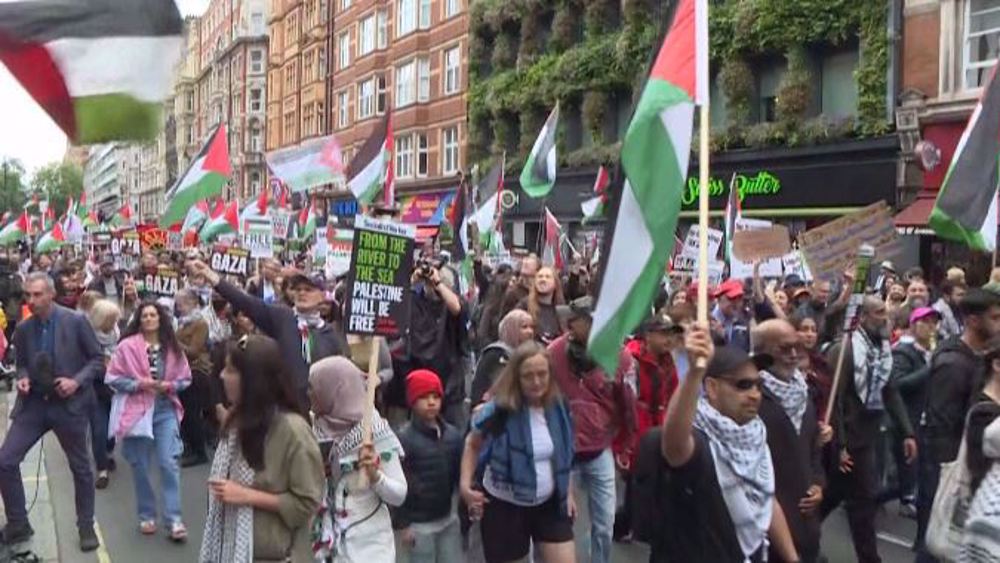Londoners march in support of Palestinians in bombarded Gaza