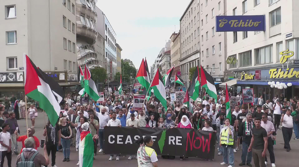 Large demo held in Vienna in support of Gaza