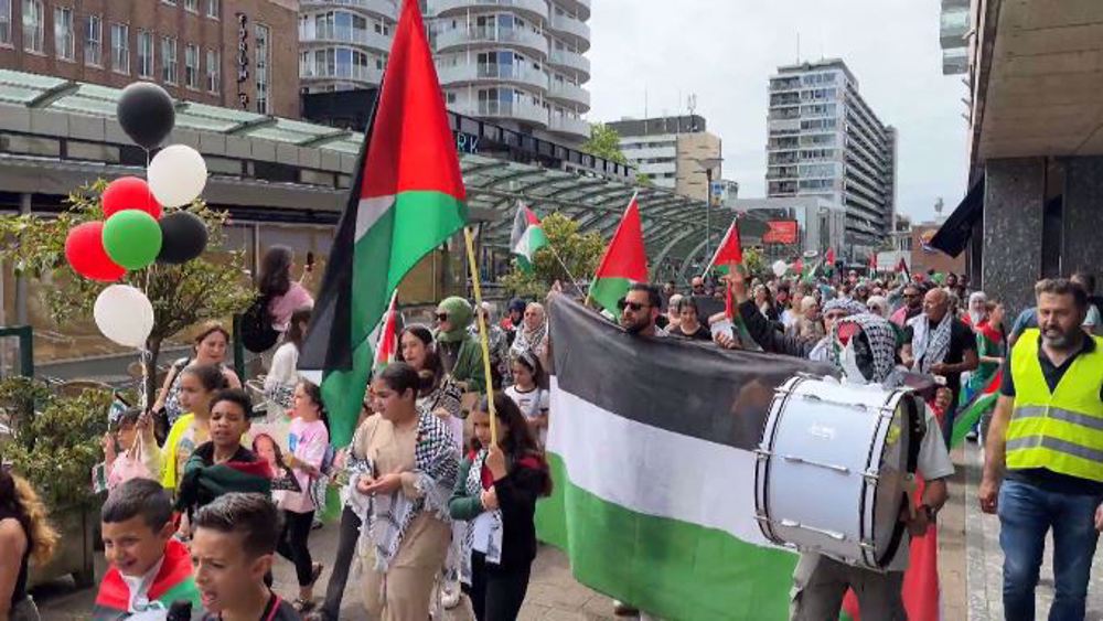 'No Bombs, Just Bubbles': Children lead pro-Palestine protest in Rotterdam