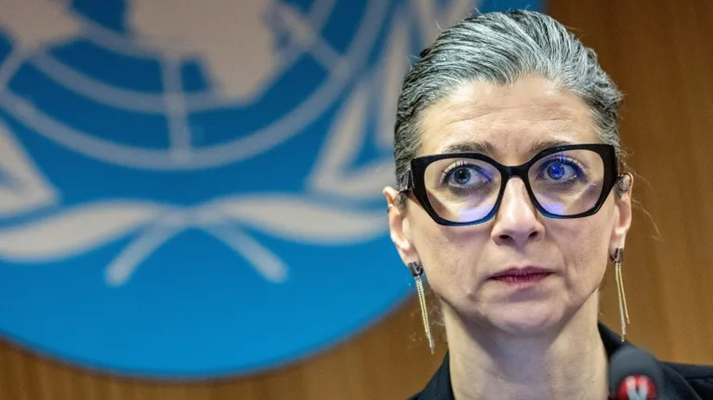 Ceasefire should be imposed on Israel: UN rapporteur