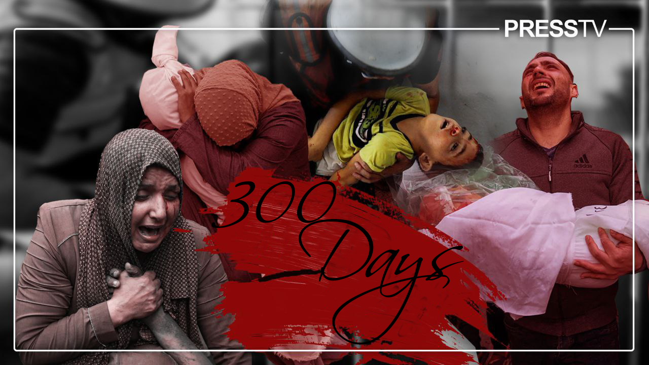 Factbox: 300 days of Israeli genocidal war on Gaza and 3,457 massacres