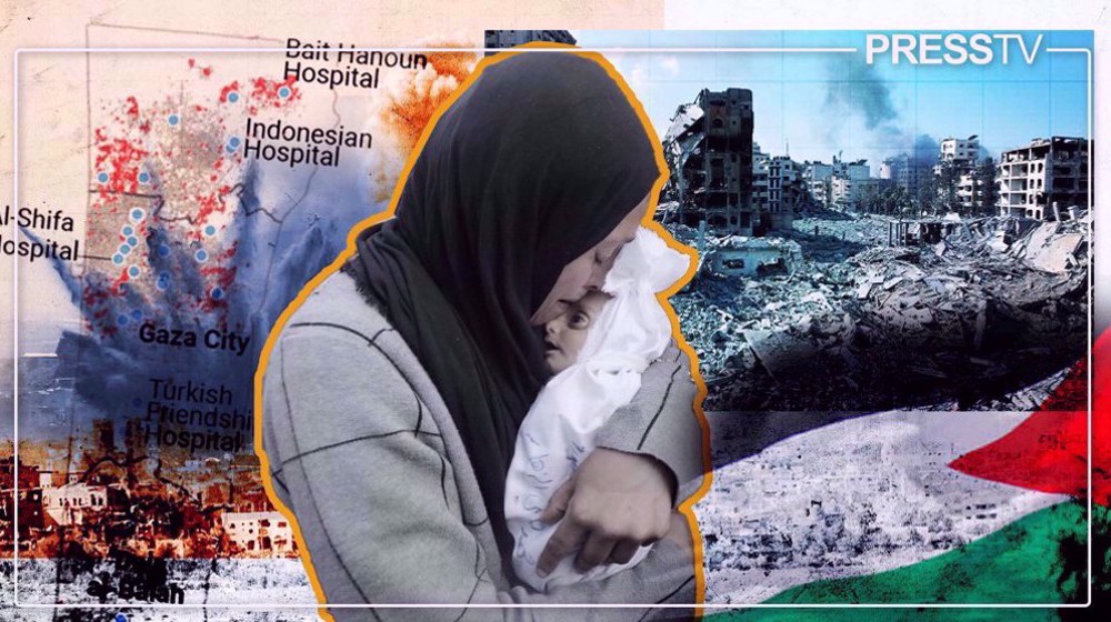 In Numbers: 311 days of death and destruction unleashed by Israeli regime in Gaza